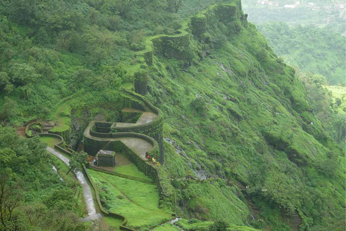 Deutsche Bank celebrates 40 years in India with 40,000 tree planting initiative in Raigad