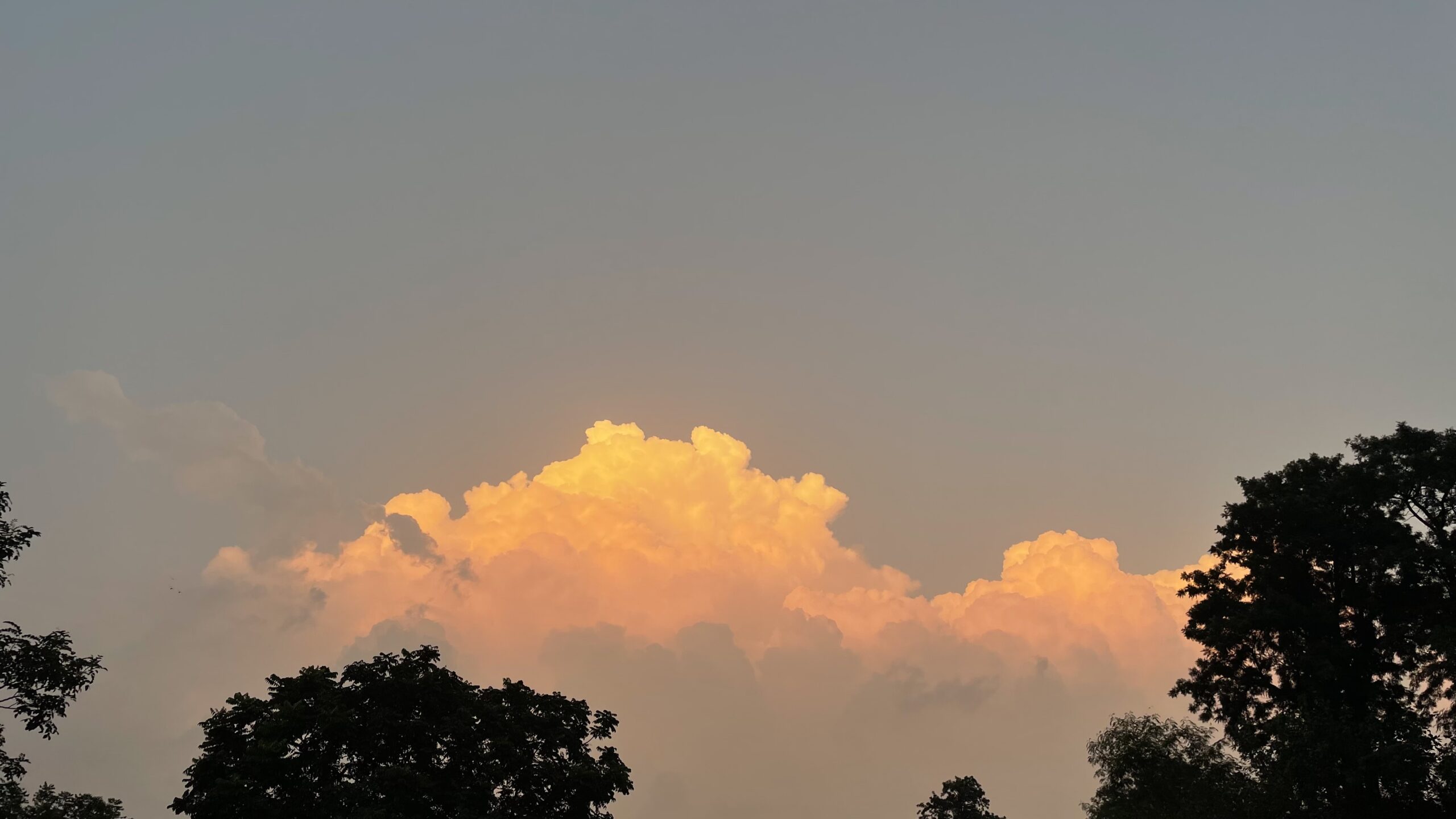 SEBI’s ESG Reforms Usher in Transparency, Face Teething Issues