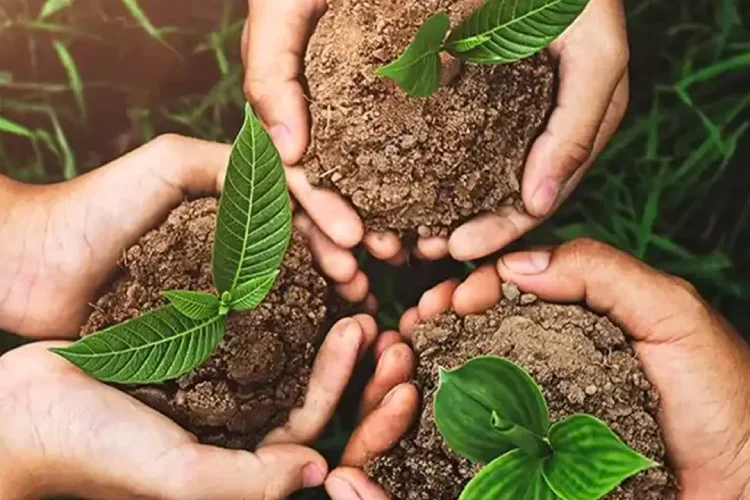 Diageo India ESG Report highlights 93% emissions cut