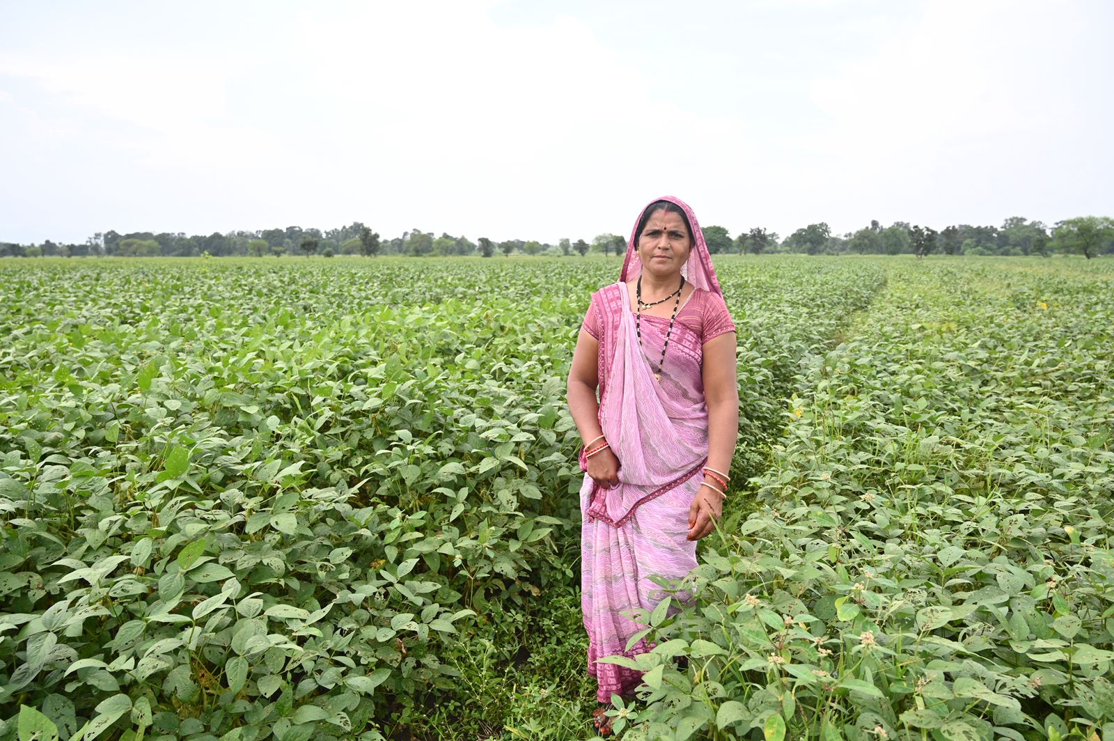 ITC deploys AI for climate resilience in India